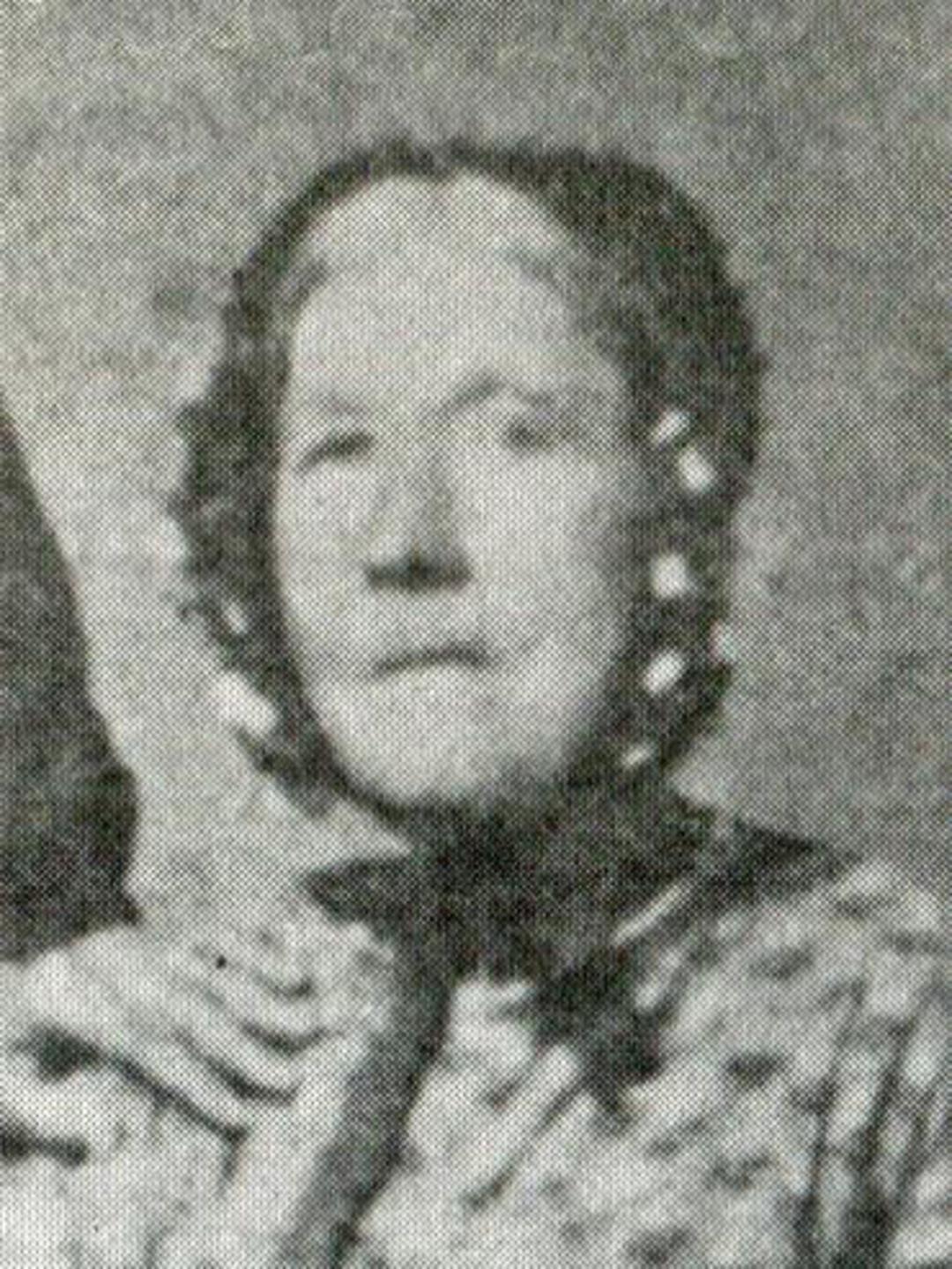 Naomi Bigg Comfort (1793 - 1880) Profile